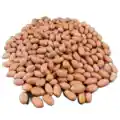 Peanut Kernel